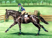 Eventing, Equine Art - Flat Out